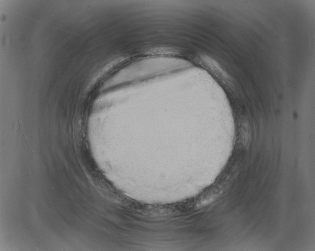 X0000081430351200702092205