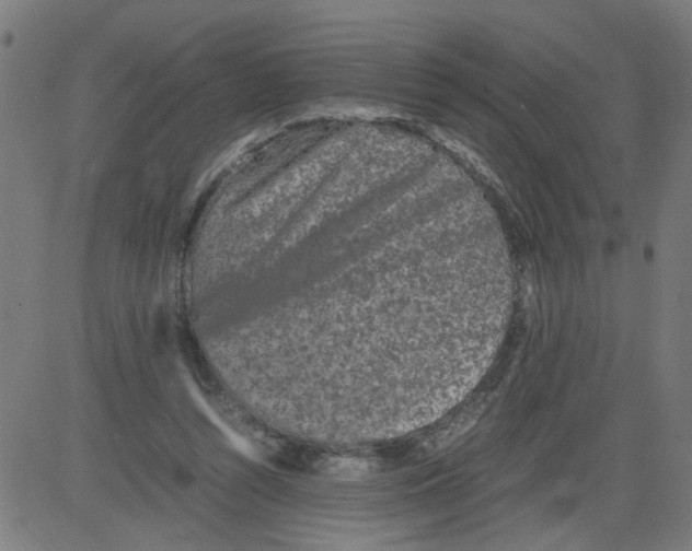 X0000081430352200702092205