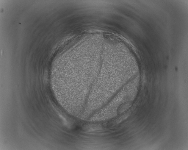 X0000081430353200702092205