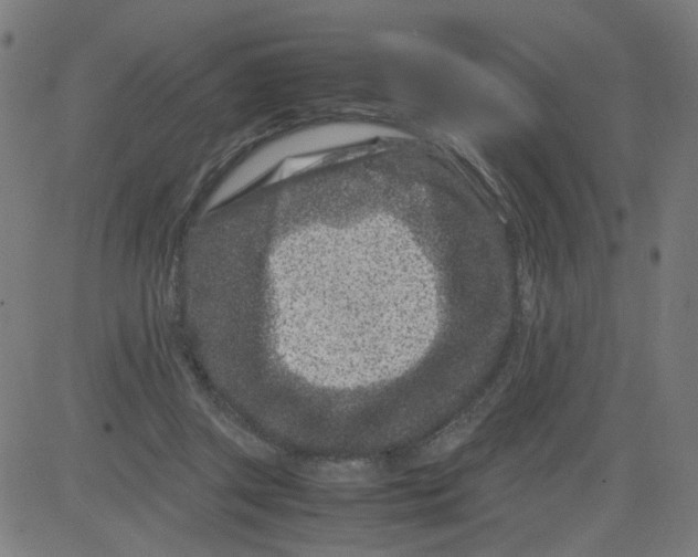 X0000081430357200702092205