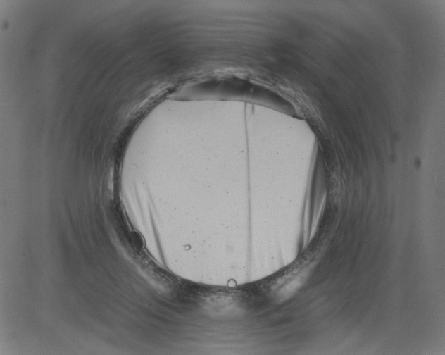 X0000081430358200702092205