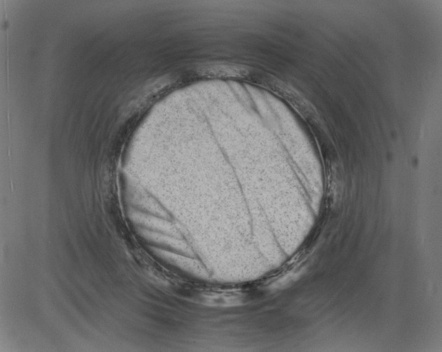 X0000081430359200702092205