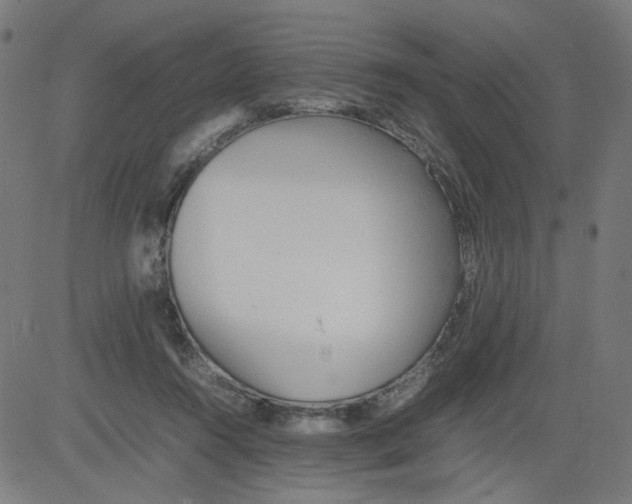 X0000081430360200702092205