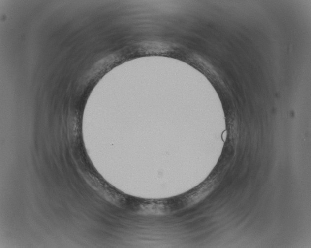 X0000081430362200702092205