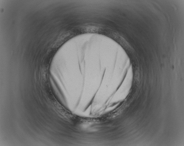 X0000081430363200702092205