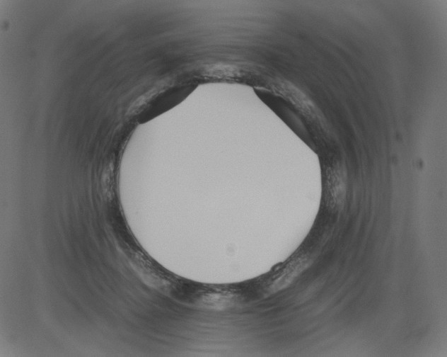 X0000081430364200702092205