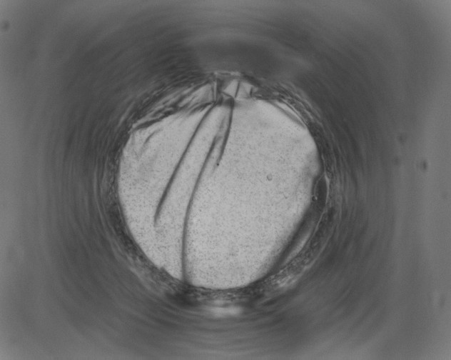 X0000081430365200702092205