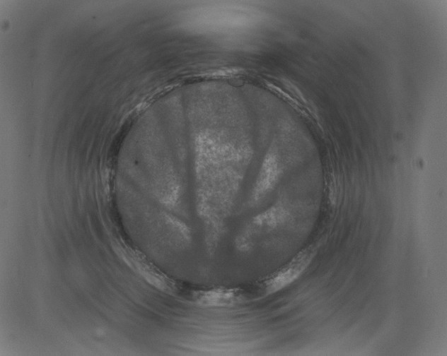 X0000081430366200702092205