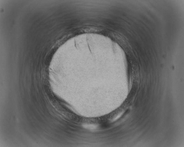 X0000081430367200702092205