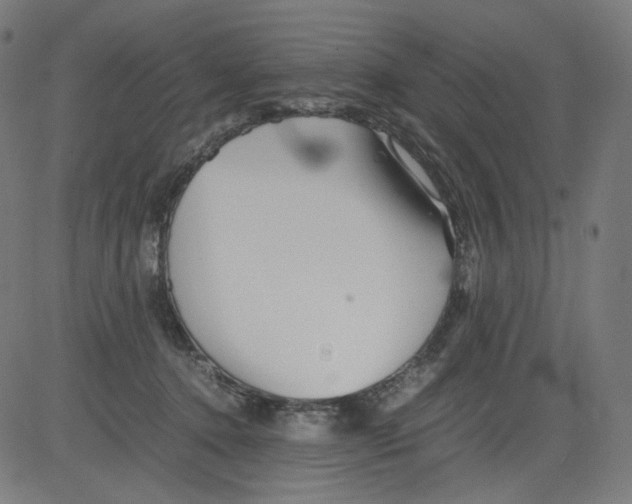 X0000081430368200702092205