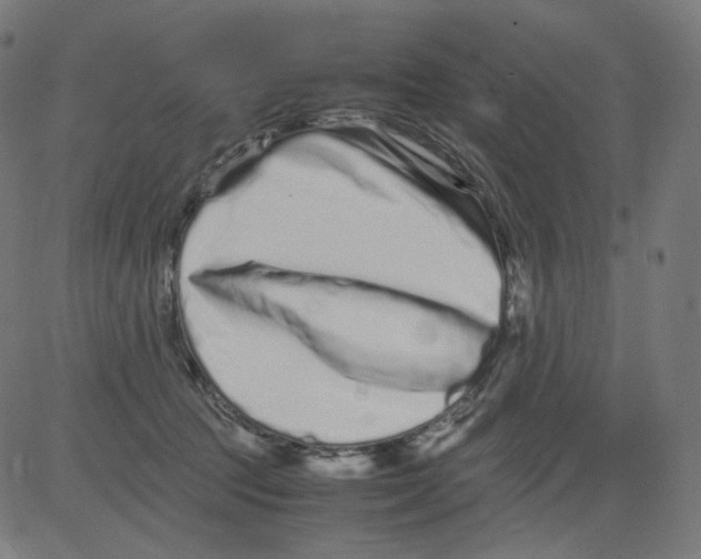 X0000081430369200702092205