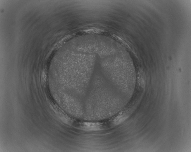 X0000081430371200702092205