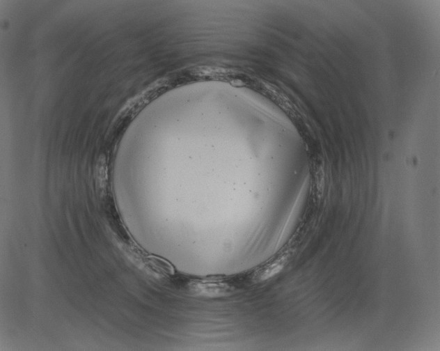 X0000081430372200702092206