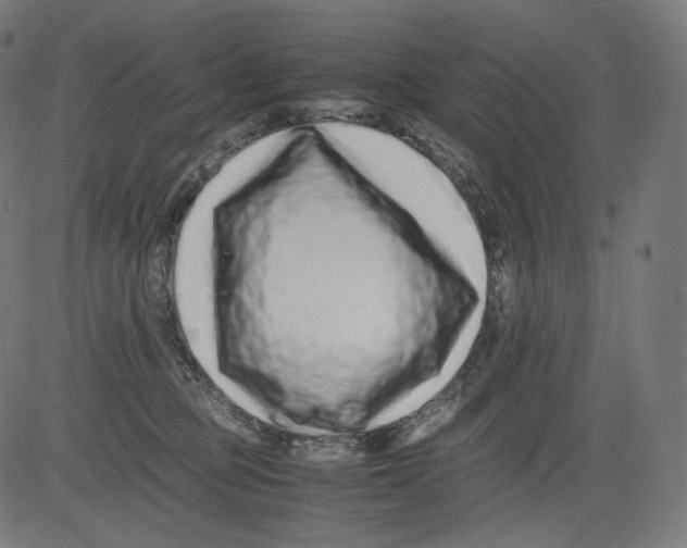 X0000081430373200702092206