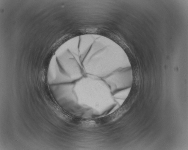 X0000081430374200702092206