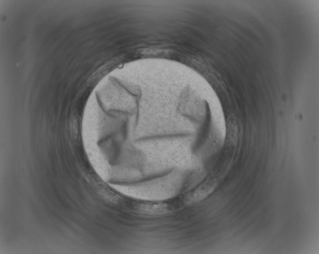 X0000081430375200702092206