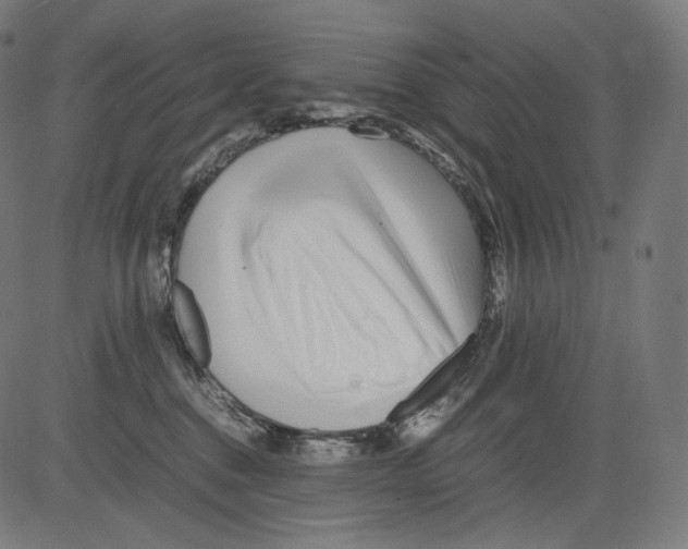 X0000081430376200702092206