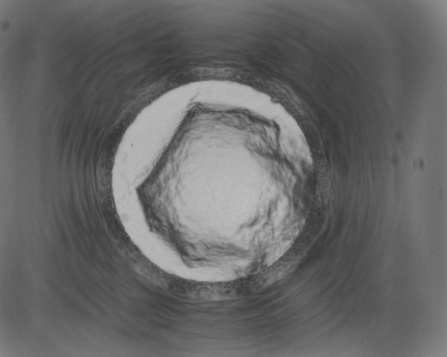 X0000081430377200702092206