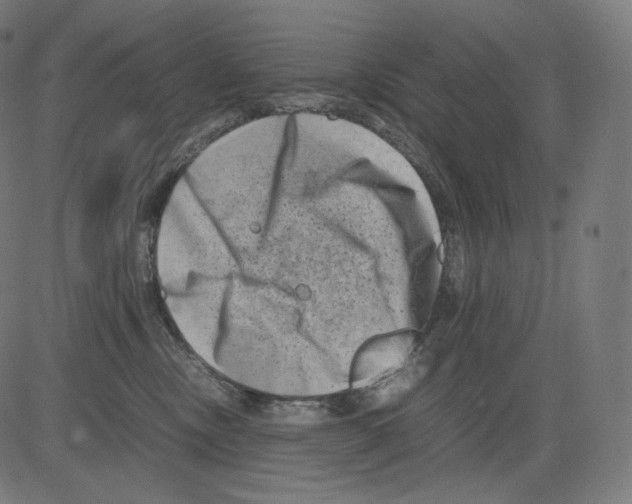 X0000081430378200702092206