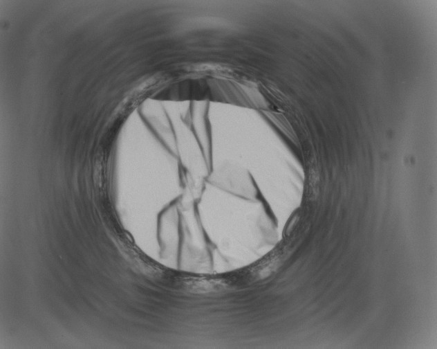 X0000081430379200702092206