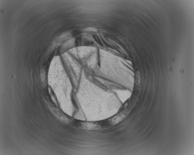 X0000081430380200702092206