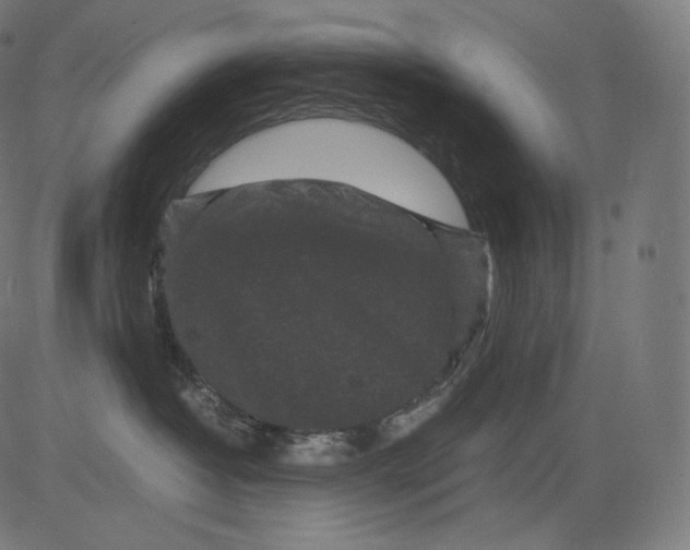 X0000081430382200702092206