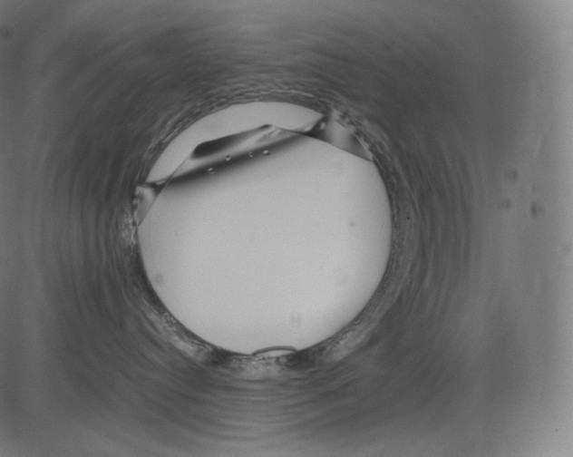 X0000081430384200702092206