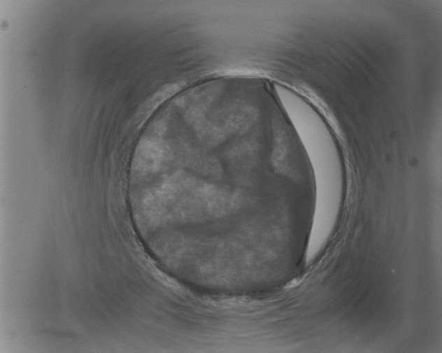 X0000081430385200702092205