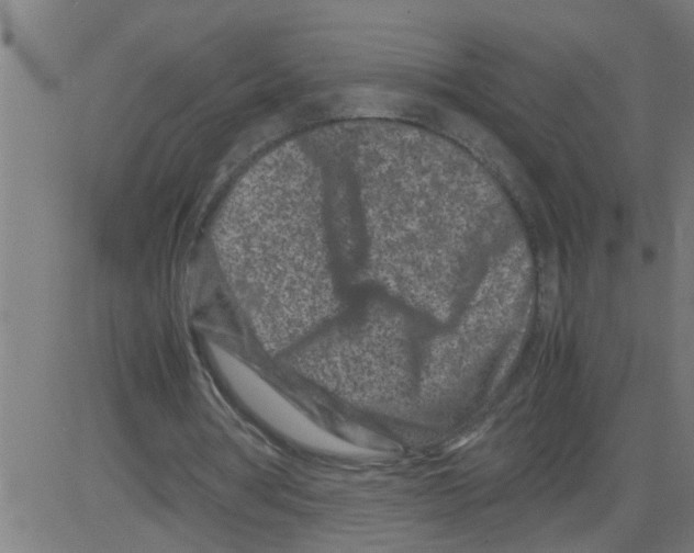 X0000081430386200702092205