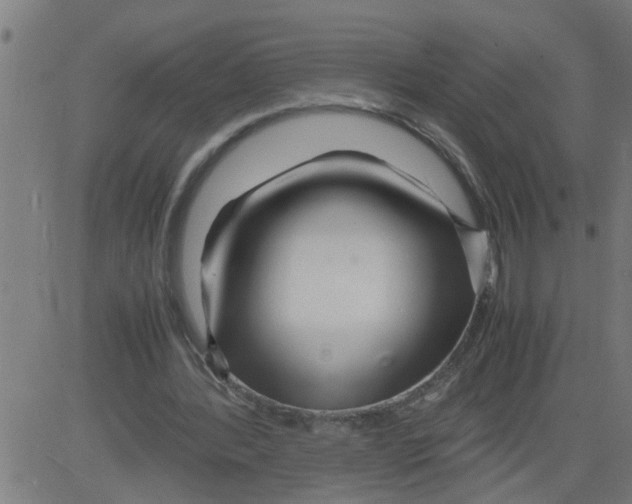 X0000081430388200702092205