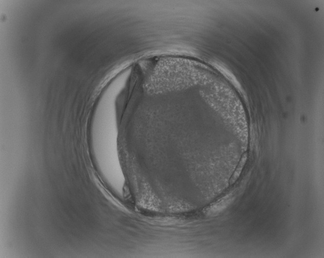 X0000081430389200702092205