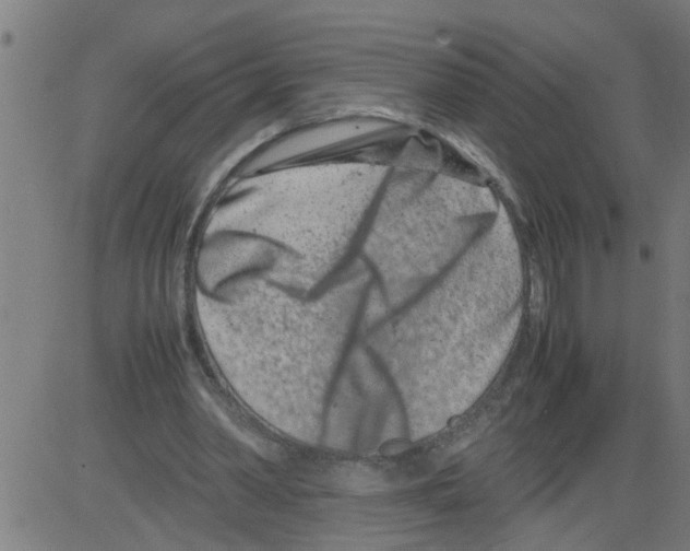 X0000081430390200702092205