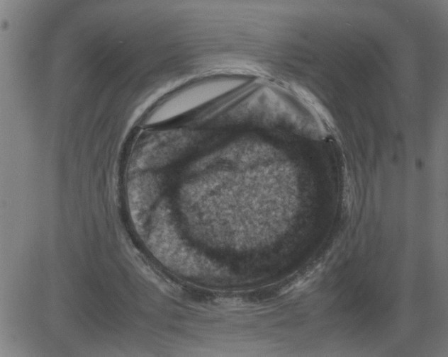 X0000081430391200702092205