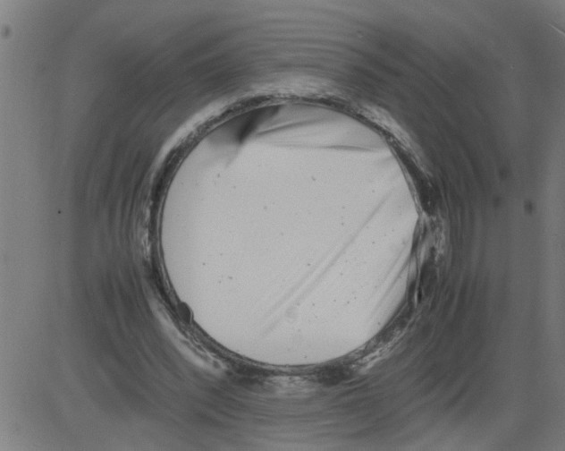 X0000081430392200702092205