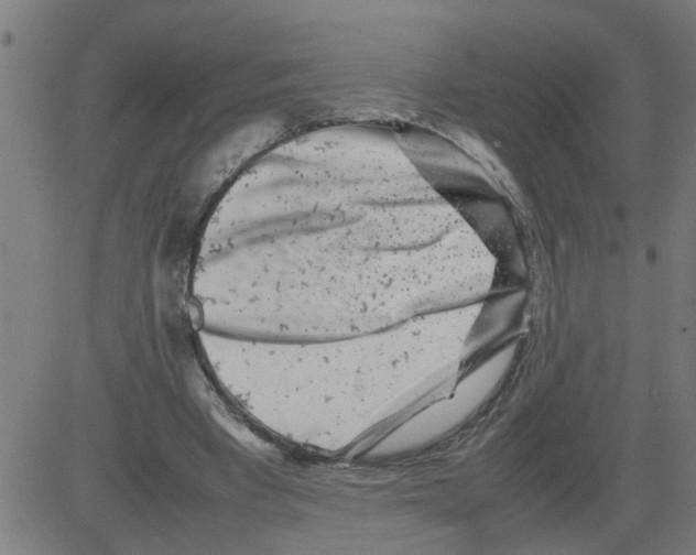 X0000081430393200702092205