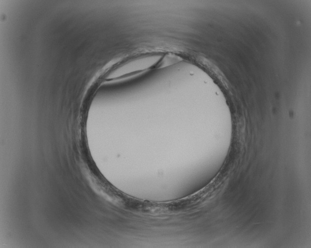 X0000081430395200702092205