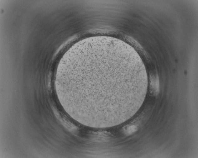 X0000081430396200702092205