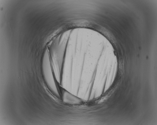 X0000081430397200702092205