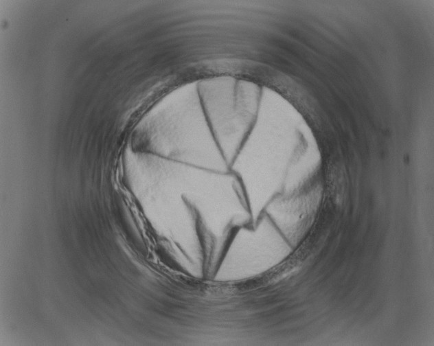 X0000081430398200702092205