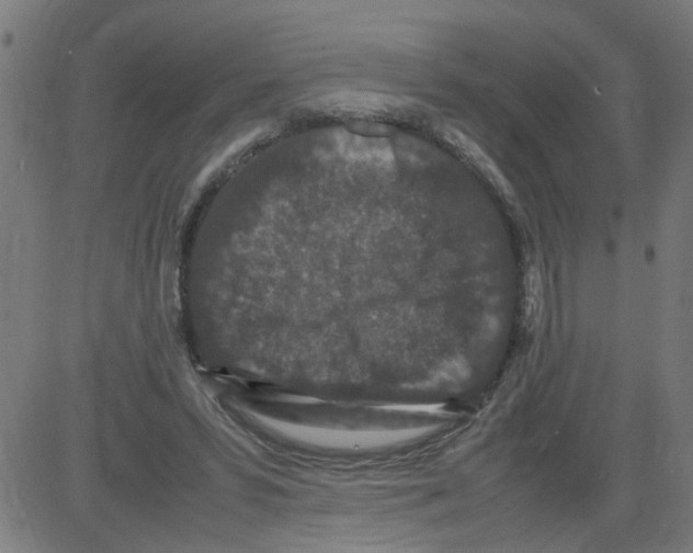 X0000081430399200702092205