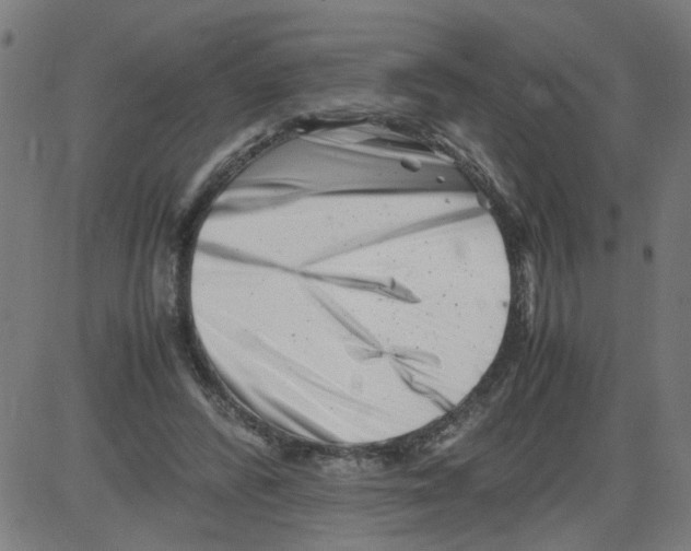 X0000081430400200702092205