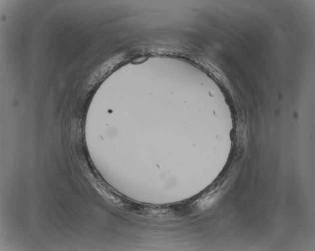 X0000081430401200702092205