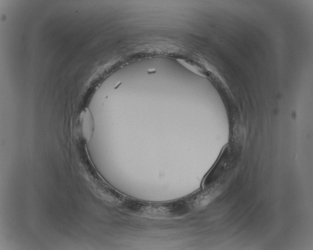 X0000081430403200702092205