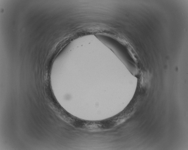 X0000081430407200702092205