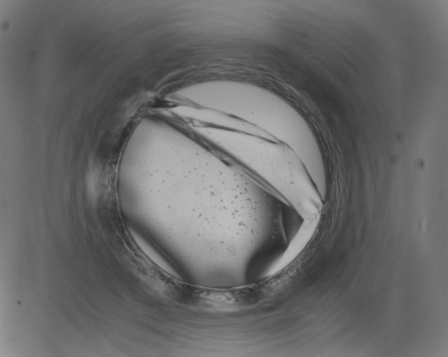 X0000081430409200702092205