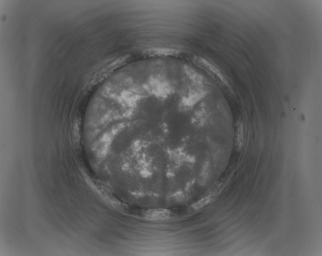 X0000081430410200702092205