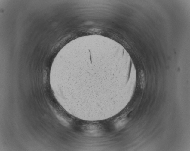 X0000081430412200702092204