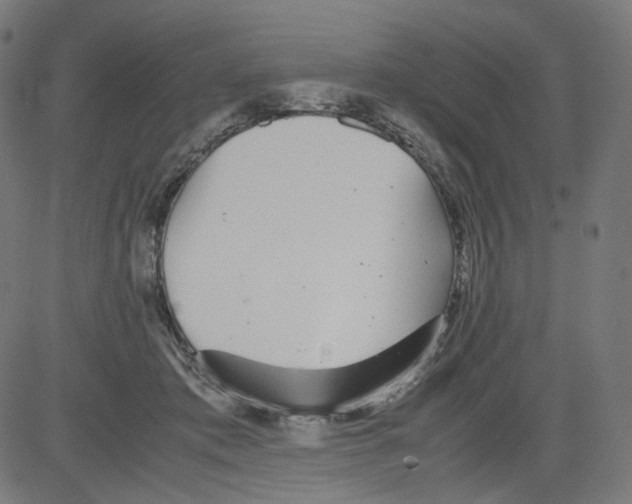 X0000081430413200702092204