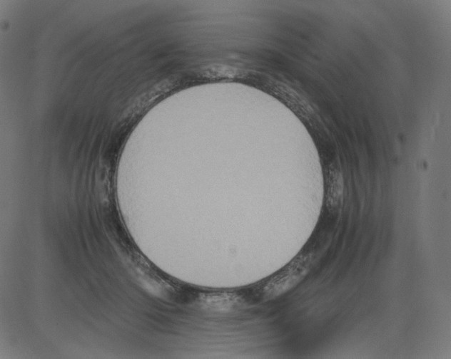 X0000081430414200702092204