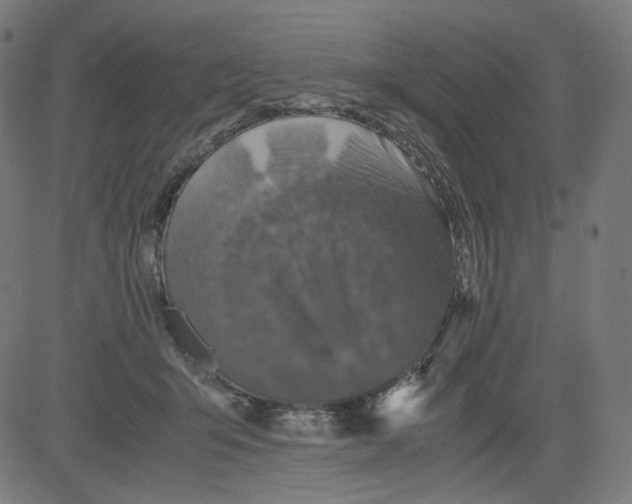 X0000081430415200702092204